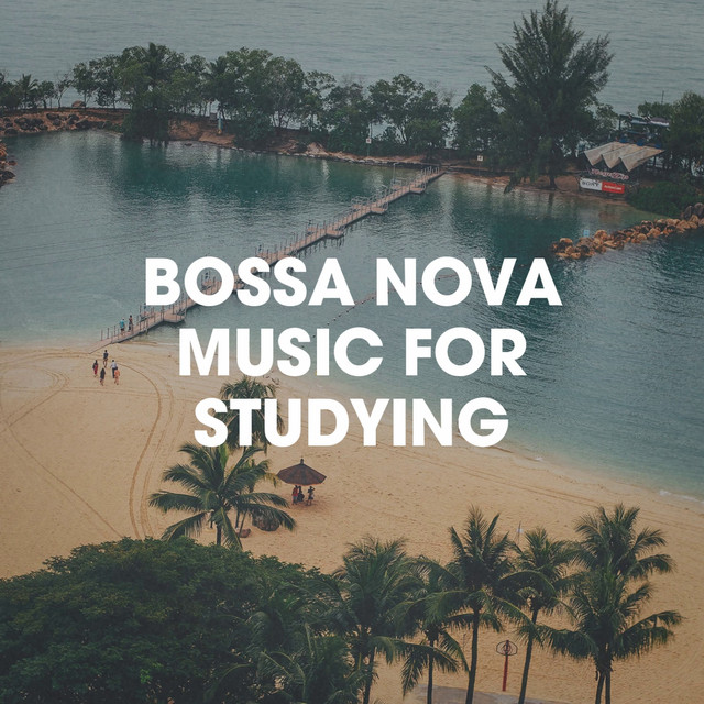 Sò Danço Samba cover art