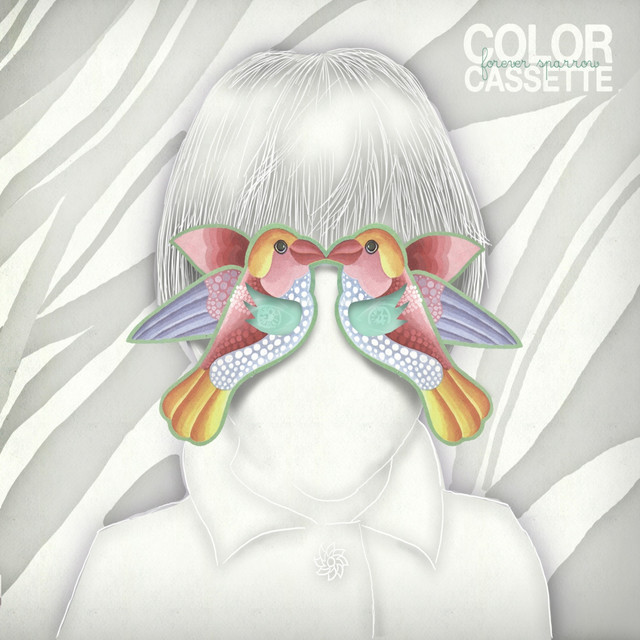 Color Cassette Photo
