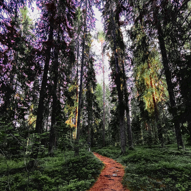 Naturaleza cover
