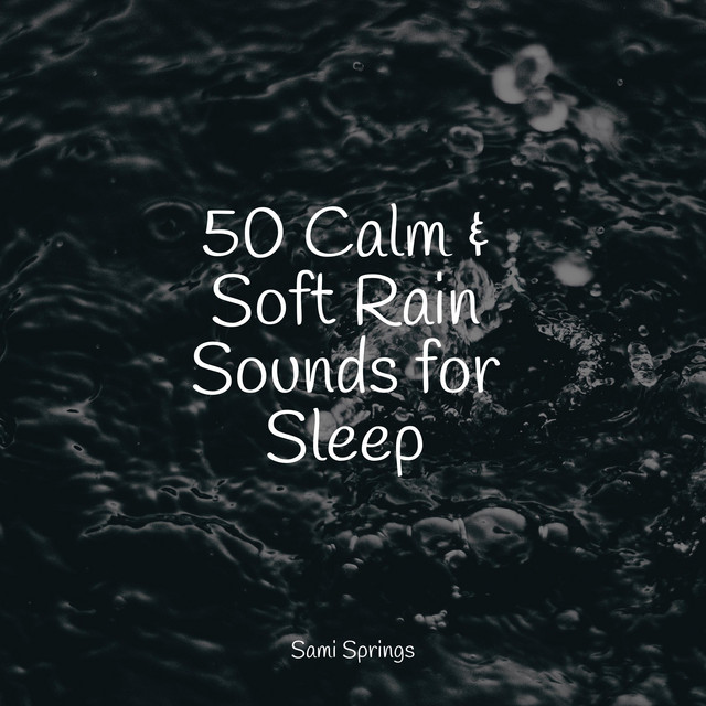 50 Calm & Soft Rain Sounds for Sleep - Album by Study Concentration ...
