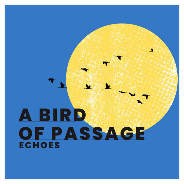 A bird of passage (Radio Edit) cover