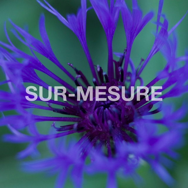 Sur-Mesure cover art