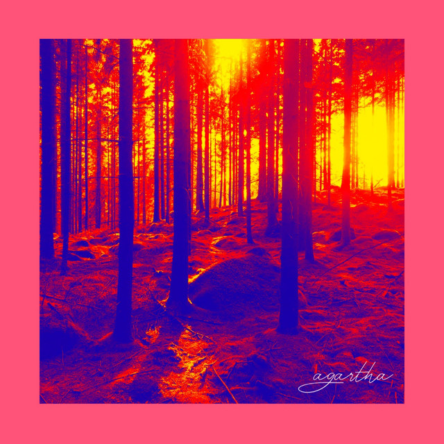 Agartha (Remixes) cover