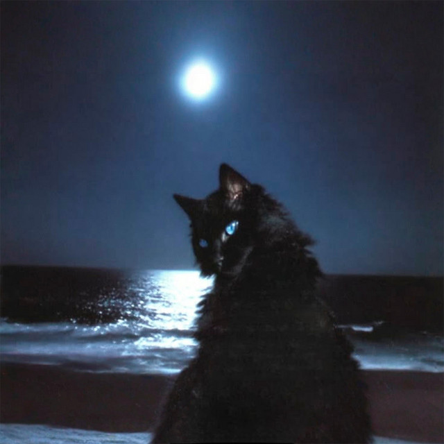༒The Sacred Ruler of the Night༒ cover