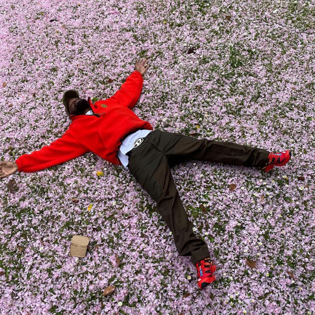 undefined album image