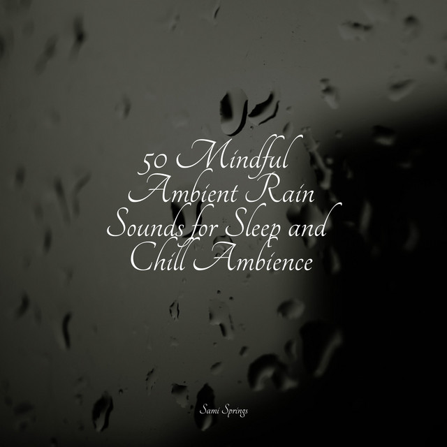 50 Mindful Ambient Rain Sounds for Sleep and Chill Ambience - Album by ...