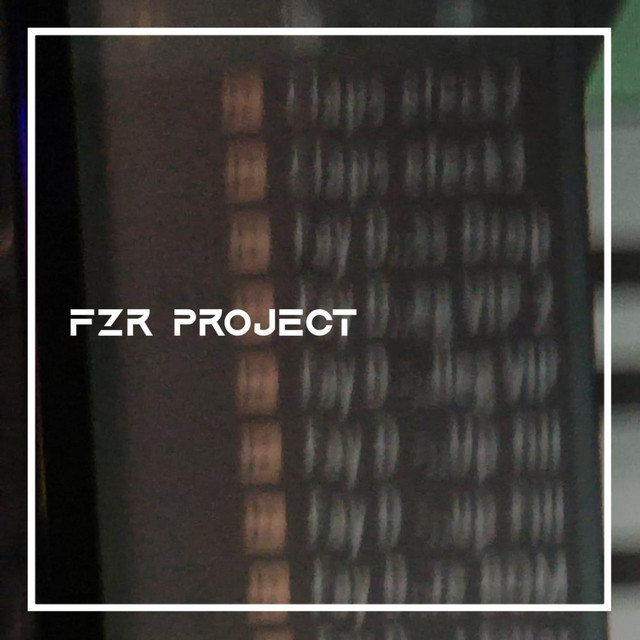 FZR Project