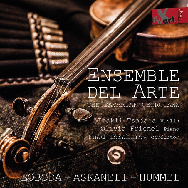 Violin Concerto, Op. 126: I. In modo di recitativo (Live) cover art