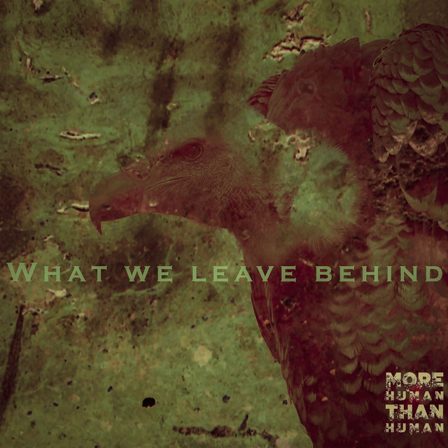 What We Leave Behind cover