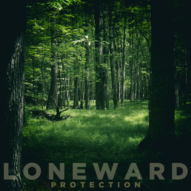 Protection cover art
