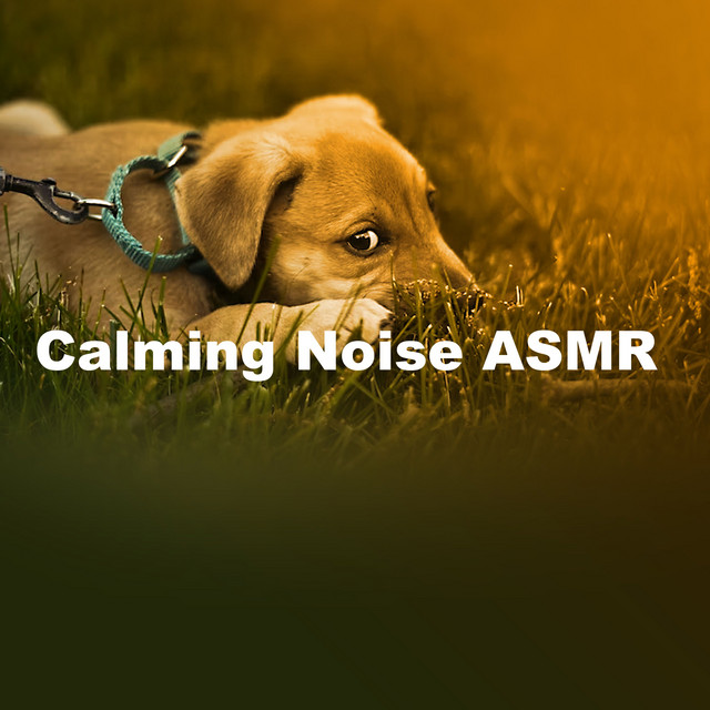 Calming Noise ASMR cover art