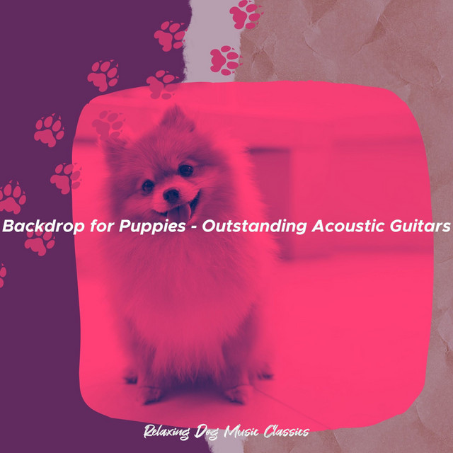 Backdrop for Puppies - Outstanding Acoustic Guitars cover art