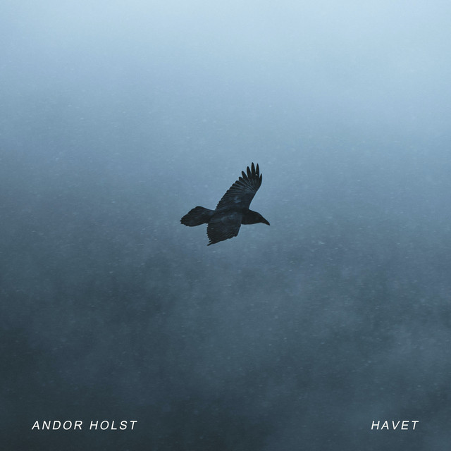 Havet