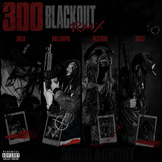 300 BLACKOUT RMX