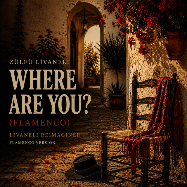 Dónde Estás? (Where are you? / Flamenco) album image
