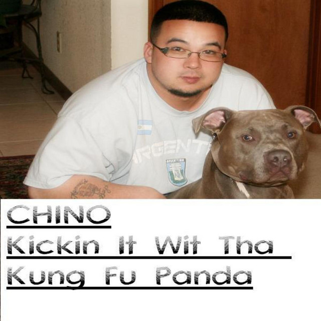 Kickin It Wit Tha Kung Fu Panda cover art