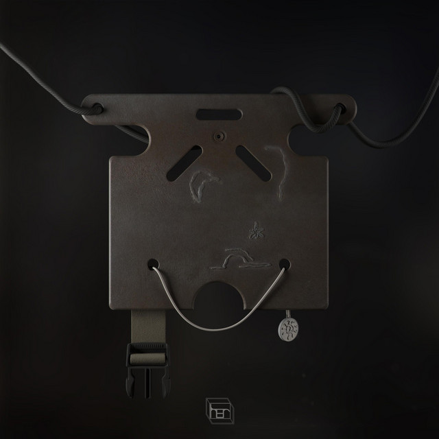Brace / Gloss Finish cover