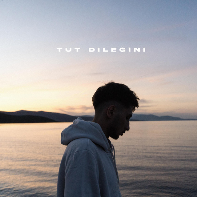 Tut Dileğini cover art