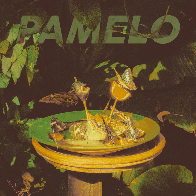 Pamelo 2020-23 cover art
