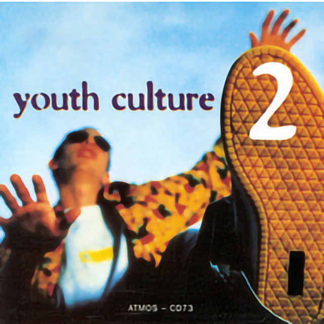 Youth Culture 2 cover