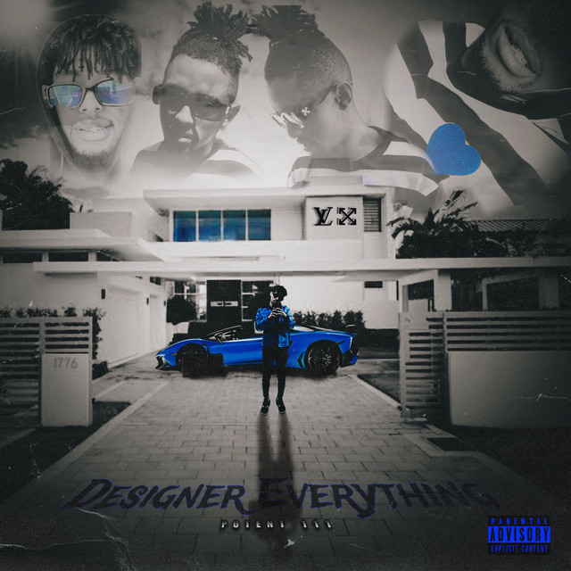 DESIGNER EVERYTHING cover art