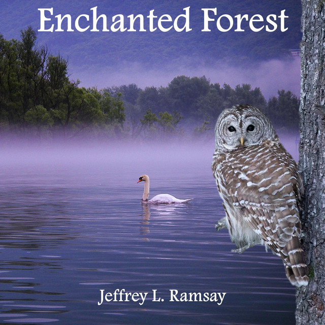 Enchanted Forest - Single by Jeffrey L. Ramsay | Spotify