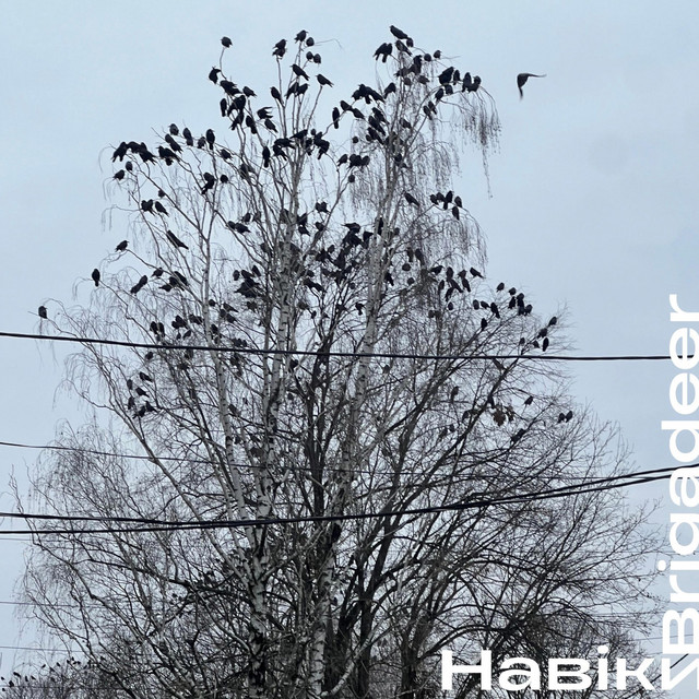 Обкладинка: Навіки — Brigadeer