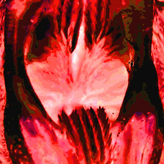 Passageways To Daena (The Concomitant Blessings Of Putrescing Impurity) cover art
