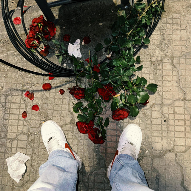O zi întreagă cover art