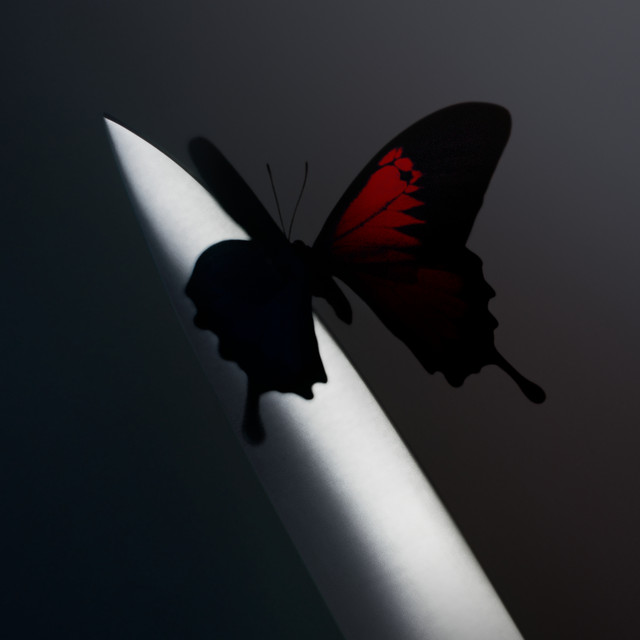ab67616d0000b2735e3a6b9fade95e80d5321b62