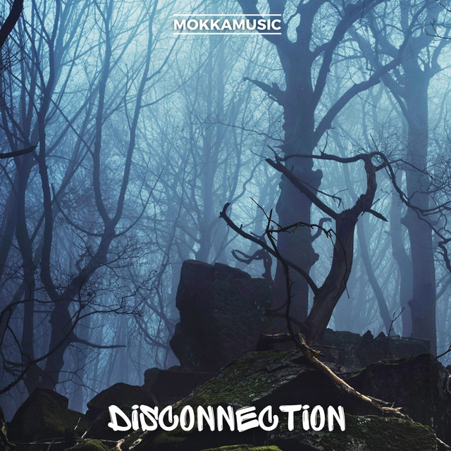 Disconnection album image