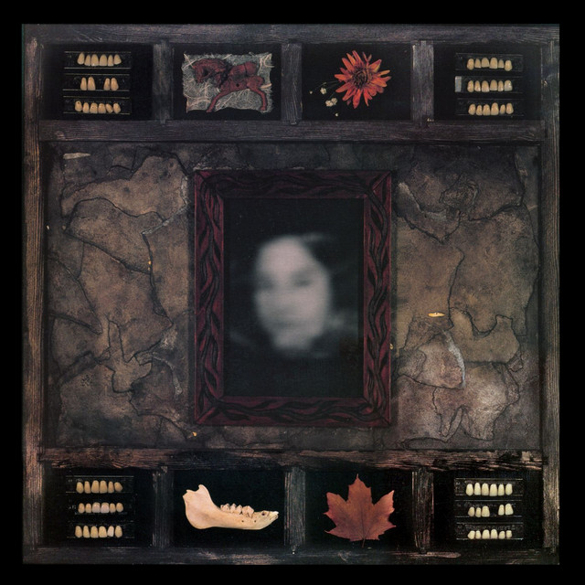 Face of Collapse cover art