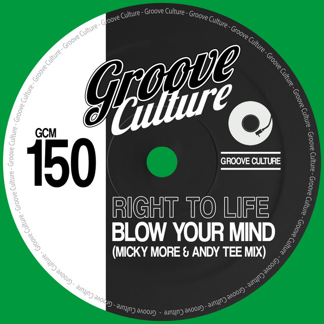 Blow Your Mind - Micky More & Andy Tee Edit album art