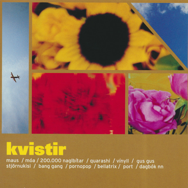 Kvistir cover art