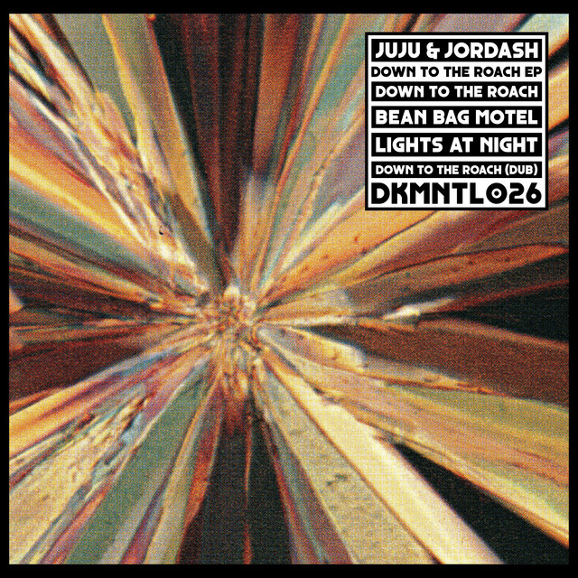 Down to the Roach - Dub cover art