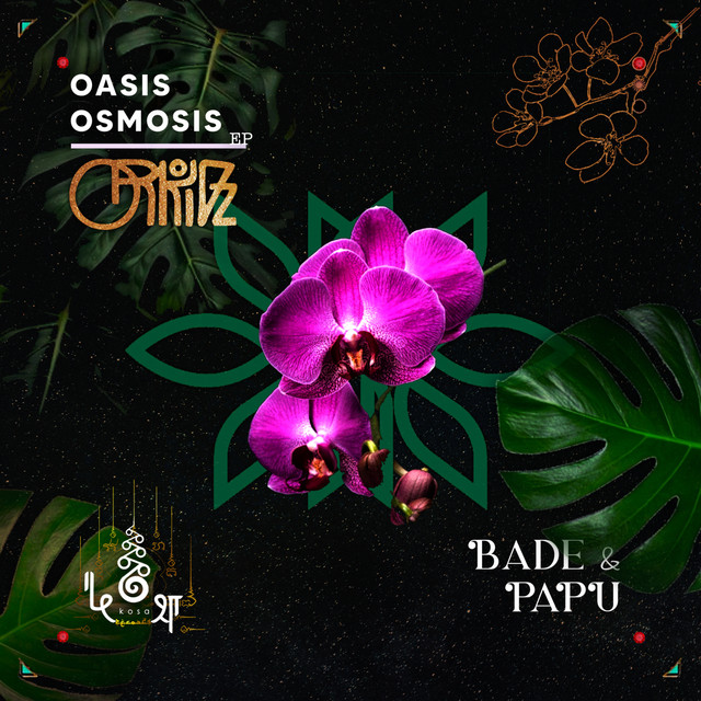 Oasis Osmosis - Bade & Papu Remix cover art