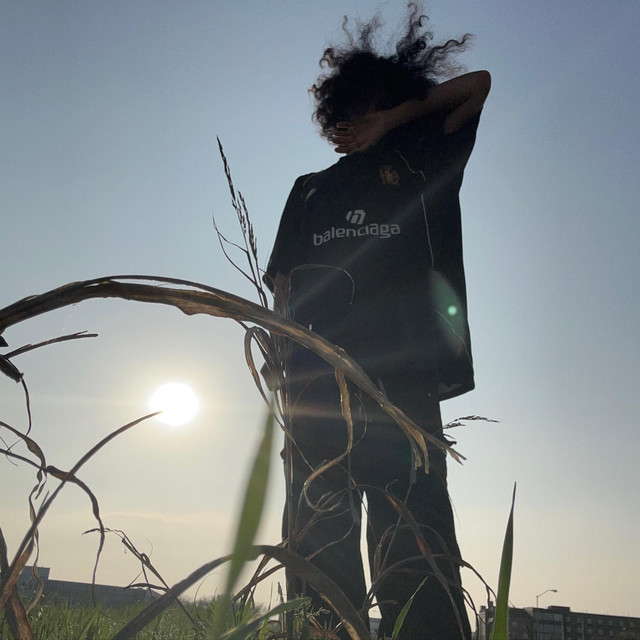 sunset cover art