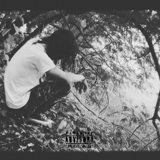 Desqualificado Como Humano cover art