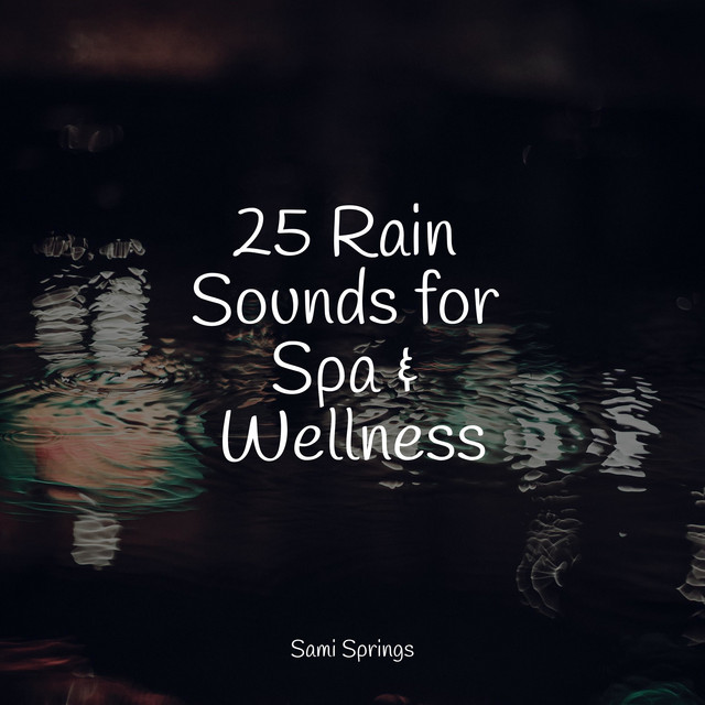25 Rain Sounds for Spa & Wellness - Album by Rain | Spotify