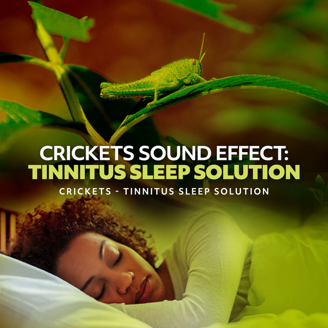Crickets Sound Effect: Tinnitus Sleep Solution cover art