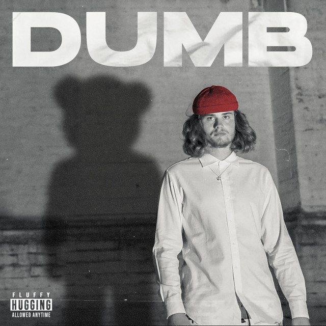 Dumb cover art