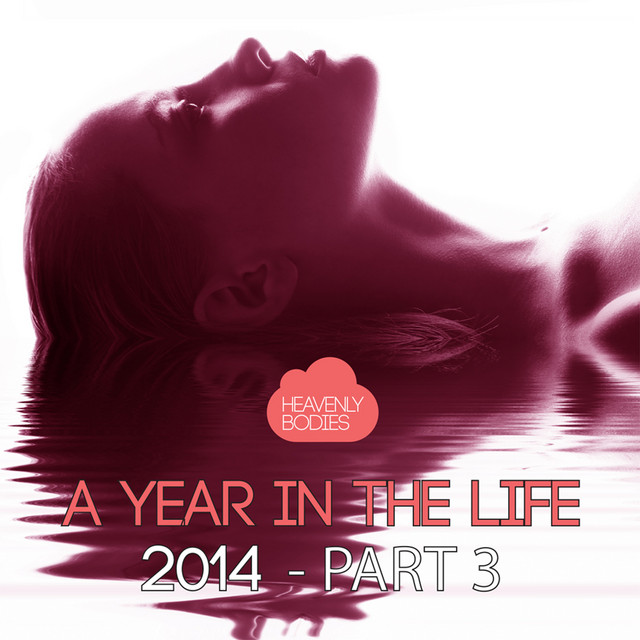 A Year In The Life Of Heavenly Bodies 2014, Pt. 3 cover