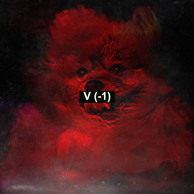 POMERANIANS Photo