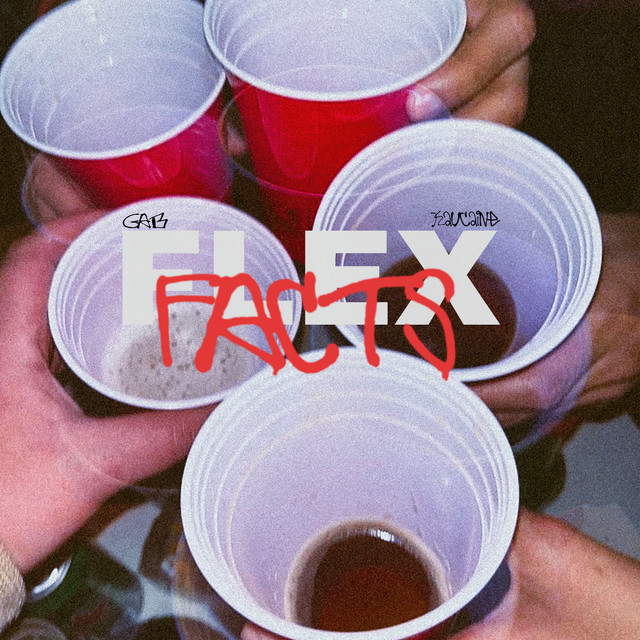 Flexfact cover art