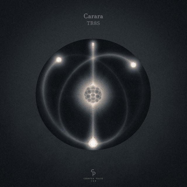TR8S - Darkflower Edit cover art