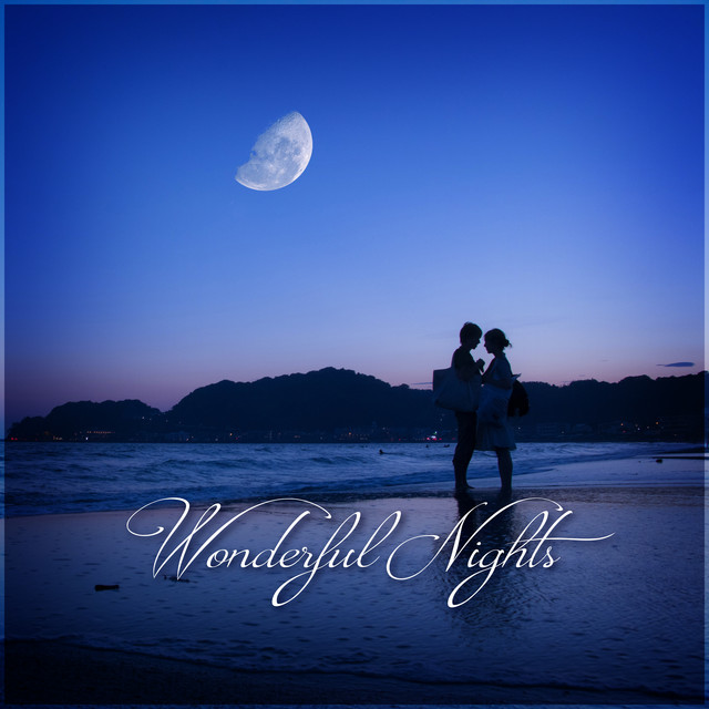 Wonderful Nights cover