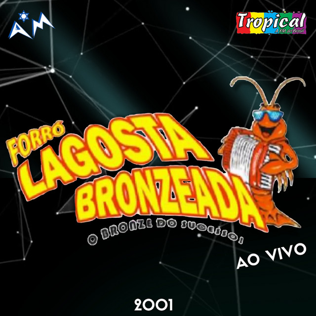 O Bronze do Sucesso - 2001 (Ao Vivo) cover art