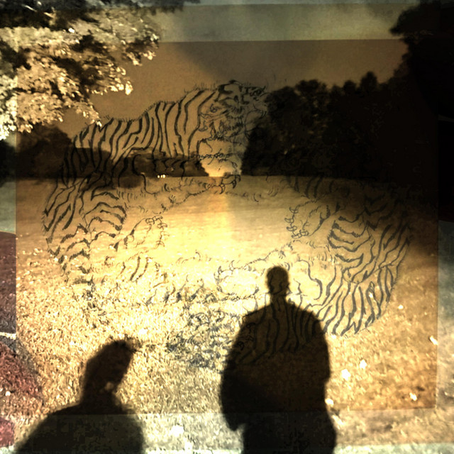 what falls below must come up cover art