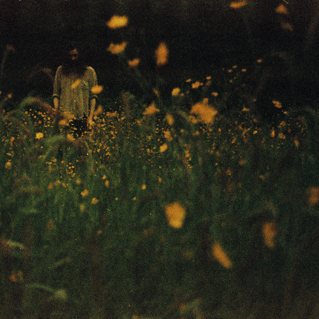 The Garden cover art