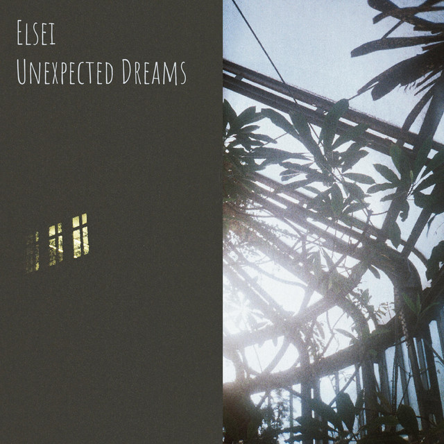 Unexpected Dreams cover art